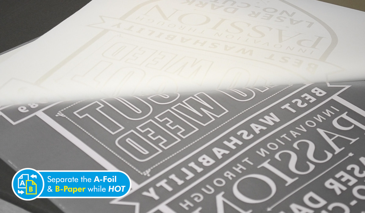 WTT_Gallery_images_1200x700_Flock_15